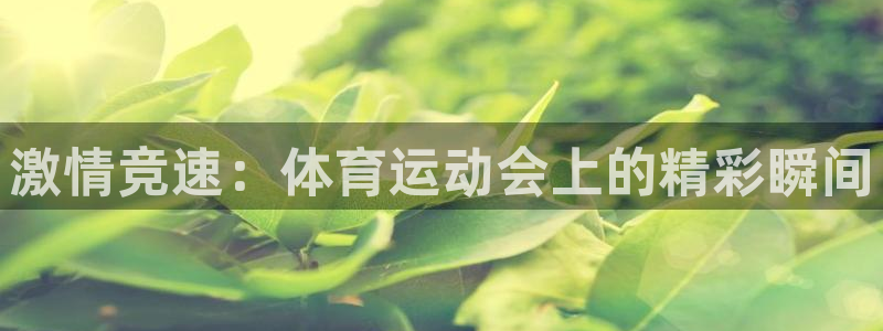 球进体育APP下载安装：激情竞速：体育运动会上的精彩瞬间