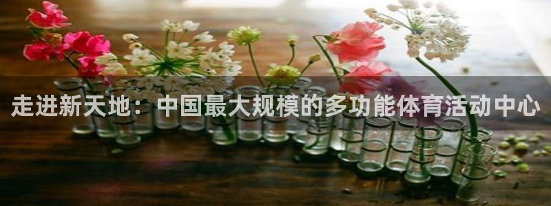球进体育：走进新天地：中国最大规模的多功能体育活动中心