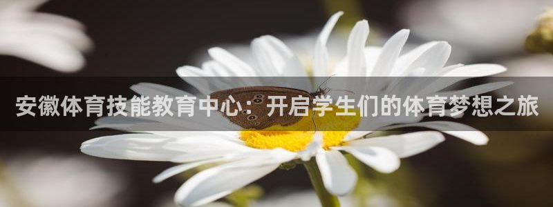 球进体育官方网站入口：安徽体育技能教育中心：开启学生们的体育梦想之旅