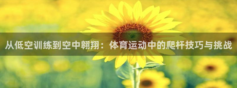 球进体育app下载：从低空训练到空中翱翔：体育运动中的爬杆技巧与挑战