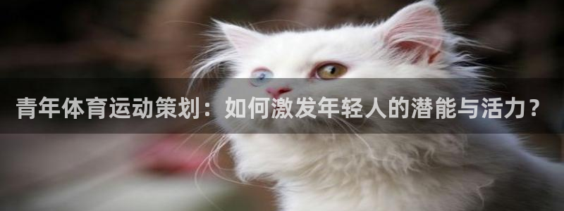 球进体育app：青年体育运动策划：如何激发年轻人的潜能与活力？