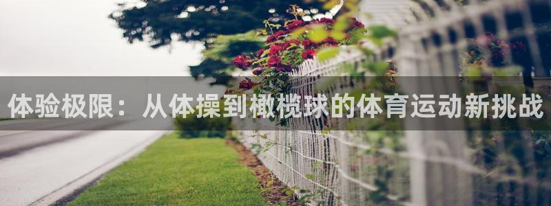 球进体育吧：体验极限：从体操到橄榄球的体育运动新挑战
