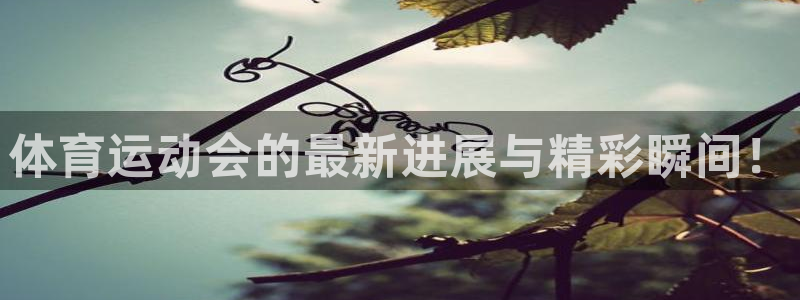 球进体育app下载：体育运动会的最新进展与精彩瞬间！