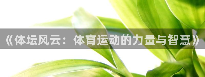 球进体育app下载：《体坛风云：体育运动的力量与智慧》