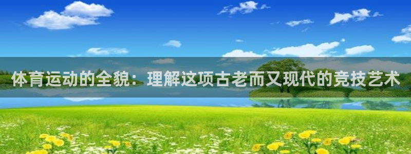 球进体育：体育运动的全貌：理解这项古老而又现代的竞技艺术