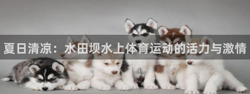 球进体育官方网站入口：夏日清凉：水田坝水上体育运动的活力与激情
