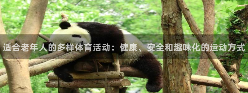 球进体育吧：适合老年人的多样体育活动：健康、安全和趣味化的运动方式