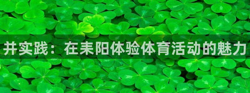 球进体育APP下载安装：并实践：在耒阳体验体育活动的魅力