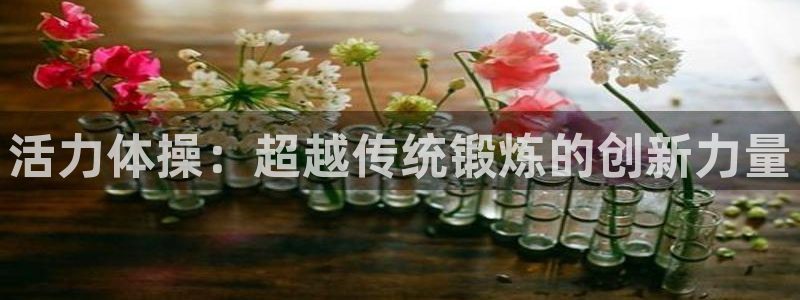 球进体育：活力体操：超越传统锻炼的创新力量