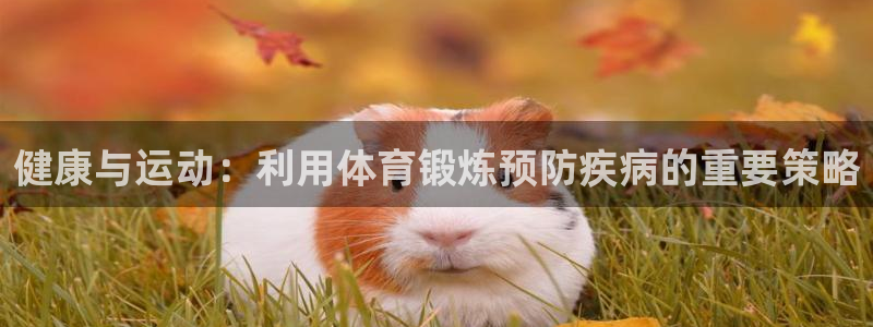 球进体育app下载：健康与运动：利用体育锻炼预防疾病的重要策略