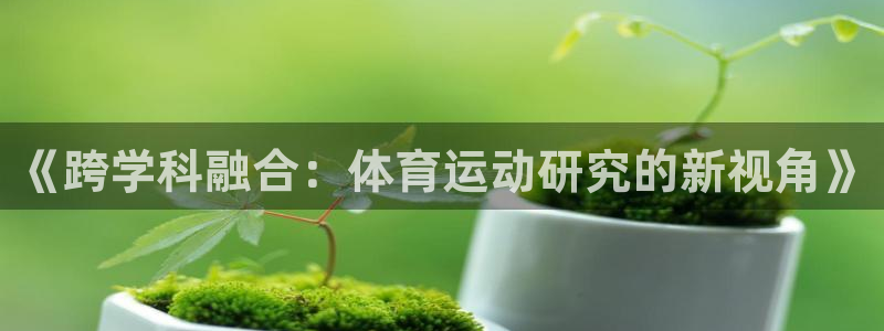 球进体育官方网站入口：《跨学科融合：体育运动研究的新视角》
